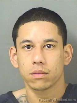 Mugshot of MICHAEL BIENVENIDO POLANCOMUNOX