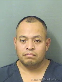 Booking photo from Palm Beach County, Florida