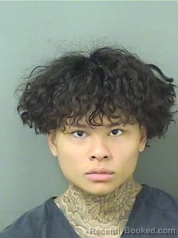 Mugshot of RYAN THAI