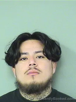 Mugshot of JORGE BRAULIO HERNANDEZGARCIA