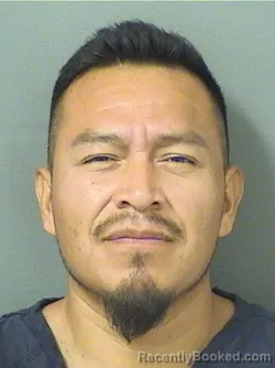 Mugshot of JUAN MANUEL AVILAPENA