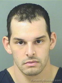 Mugshot of DOMINIC A BODDIE