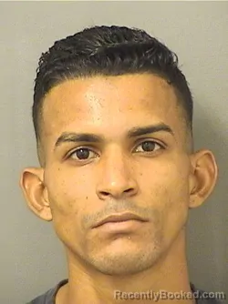 Mugshot of ENRIQUE ALEJANDRO SALGADOCRUZ