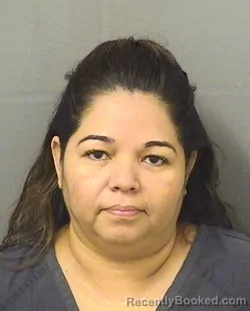 Booking photo from Palm Beach County, Florida