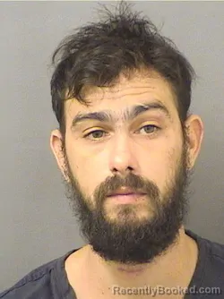Booking photo from Palm Beach County, Florida