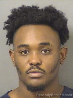 Mugshot of WALKENS JACQUES