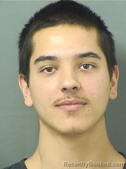 Mugshot of MAKSYM T DYADCHENKO