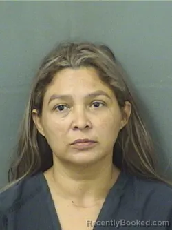 Mugshot of DIANA DINORA ZAVALA