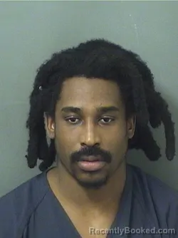 Mugshot of DANDRE MALIK JONES
