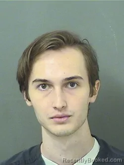 Mugshot of GABRIEL MARTIN SAVOV