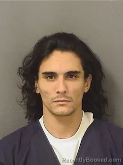 Mugshot of ALEXSANDRO NARANJO