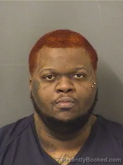 Mugshot of SEAN ANTHONY STAPLES