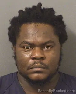Booking photo from Palm Beach County, Florida