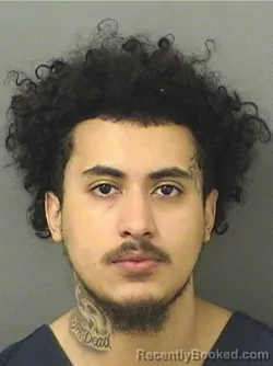 Booking photo from Palm Beach County, Florida