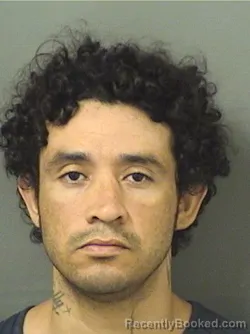 Booking photo from Palm Beach County, Florida