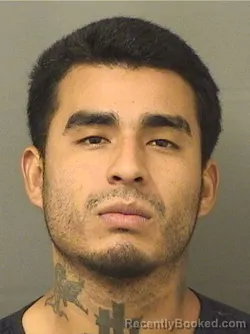 Booking photo from Palm Beach County, Florida