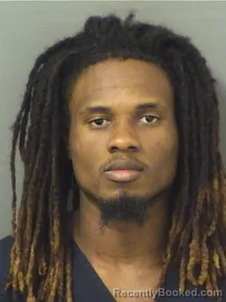Booking photo from Palm Beach County, Florida