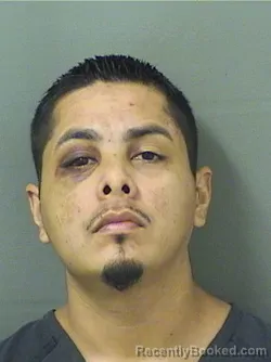 Booking photo from Palm Beach County, Florida