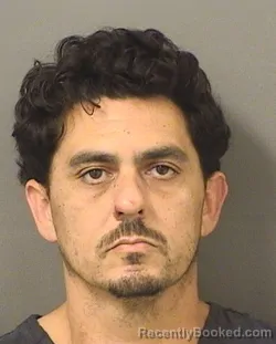 Booking photo from Palm Beach County, Florida
