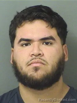 Booking photo from Palm Beach County, Florida