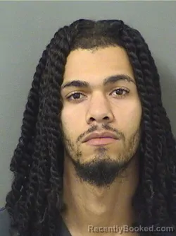 Booking photo from Palm Beach County, Florida