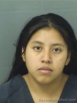 Booking photo from Palm Beach County, Florida