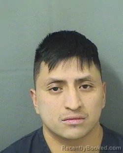 Booking photo from Palm Beach County, Florida