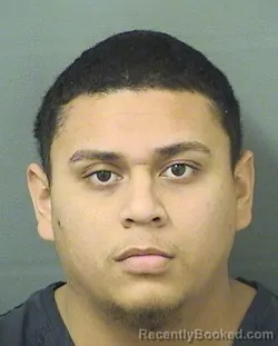 Booking photo from Palm Beach County, Florida