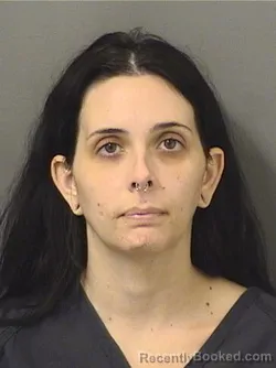 Booking photo from Palm Beach County, Florida