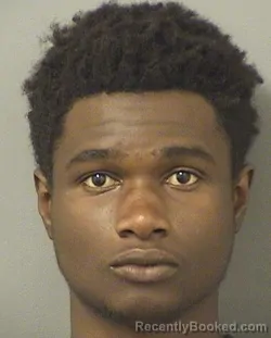 Booking photo from Palm Beach County, Florida