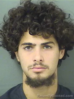 Booking photo from Palm Beach County, Florida