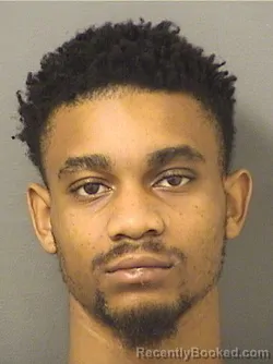 Booking photo from Palm Beach County, Florida