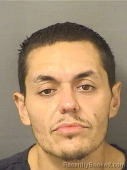 Booking photo from Palm Beach County, Florida