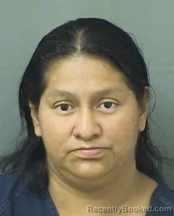 Booking photo from Palm Beach County, Florida