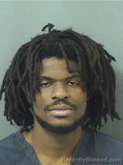 Booking photo from Palm Beach County, Florida