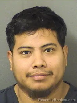 Booking photo from Palm Beach County, Florida