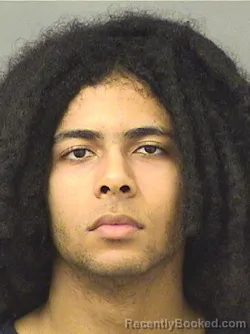 Booking photo from Palm Beach County, Florida
