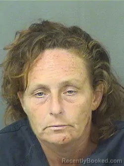 Booking photo from Palm Beach County, Florida