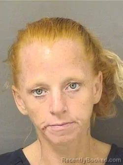 Booking photo from Palm Beach County, Florida