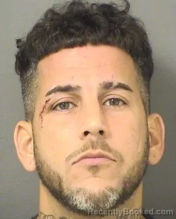 Booking photo from Palm Beach County, Florida