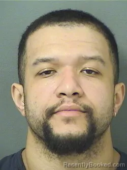Booking photo from Palm Beach County, Florida