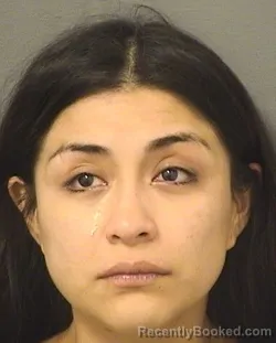 Booking photo from Palm Beach County, Florida