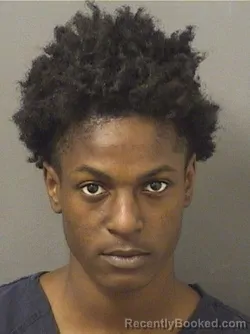 Booking photo from Palm Beach County, Florida