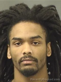 Mugshot of DANDRE SHERWOOD JONES