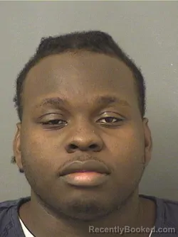 Booking photo from Palm Beach County, Florida