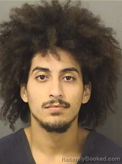 Mugshot of JULIO CESAR RAMON