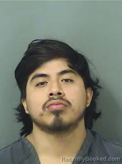 Mugshot of ROBERTO IGNACIO LOPEZ
