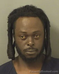 Mugshot of DIEULIC FRANCOIS