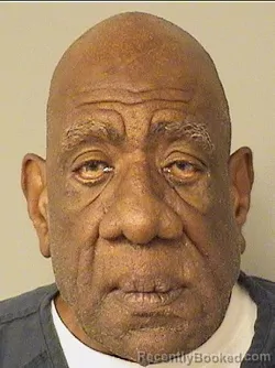 Mugshot of LEROY DANNY Jr BRICE