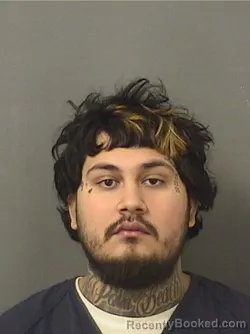 Mugshot of JOSE MALDONADO